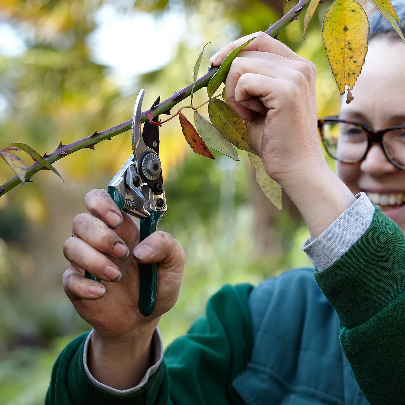 Pocket Pruner - RHS Endorsed