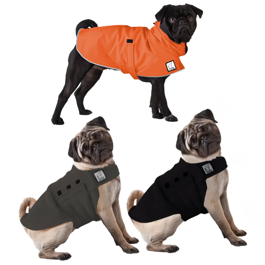 Pug Fall Essentials Bundle